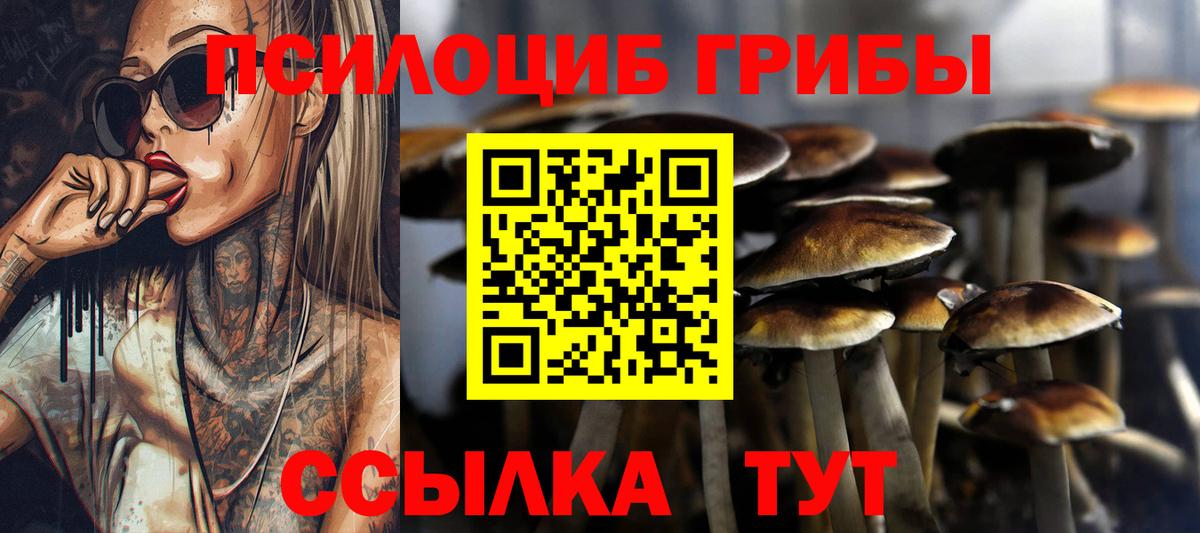 Псилоцибиновые грибы прущие грибы Мариинск