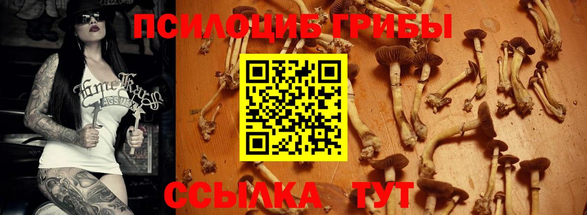 Псилоцибиновые грибы Magic Shrooms  Вход с VPN  Мариинск 